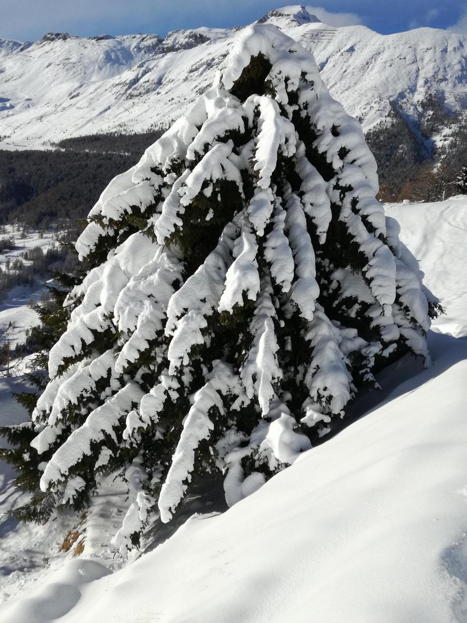 Hotel Rifugio Vieux Crest Champoluc Exteriér fotografie